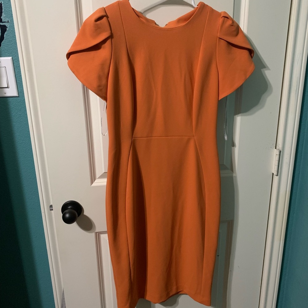 Calvin Klein Bodycon Dress